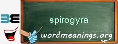 WordMeaning blackboard for spirogyra